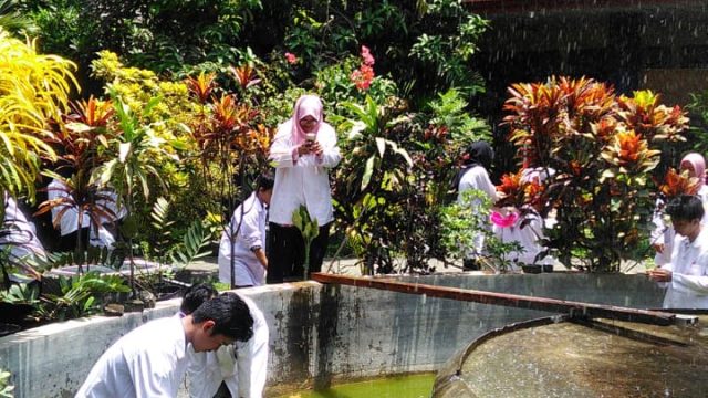 P. Ekologi Umum (DO)